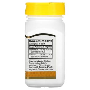 21st Century B-6 100 mg 110 Tablets 740985211960