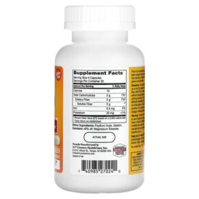 21st Century Psyllium Fiber 160 Capsules 740985270240