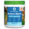 Amazing Grass Green Blend Alkalize & Detox 8.5 oz (240 g) 829835003501