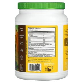 Amazing Grass Greens Blend Superfood Chocolate 1.76 lb (800 g) 829835000555
