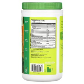 Amazing Grass Greens Blend Superfood The Original 1.06 lb (480 g) 829835934003