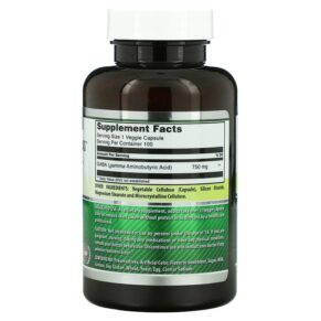 Amazing Nutrition Gaba 750 mg 100 Veggie Capsules 810180020435