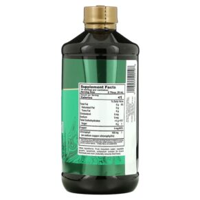 Buried Treasure Liquid Chlorophyll Spearmint 16.23 fl oz (480 ml) 016055500198