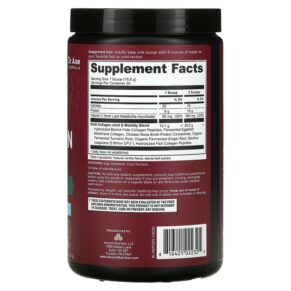 Dr. Axe / Ancient Nutrition Multi Collagen Protein Joint + Mobility Vanilla 7.48 oz (212 g) 816401022325