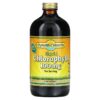 Dynamic Health Liquid Chlorophyll Natural Spearmint 100 mg 16 fl oz (473 ml) 790223101584