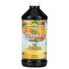 Dynamic Health Liquid Vitamin C Natural Citrus 1.000 mg 16 fl oz (473 ml) 790223100396
