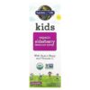 Garden of Life Kids Organic Elderberry Immune Syrup + Aronia Berry & Vitamin C 3.9 fl oz (116 ml) 658010125246