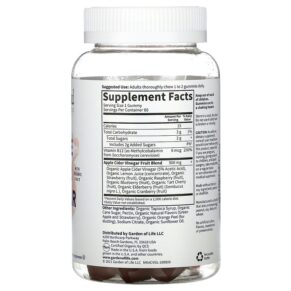 Garden of Life MyKind Organics Organic Apple Cider Vinegar Gummies 60 Vegan Gummies 658010128063
