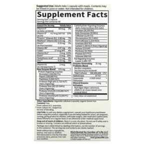 Garden of Life RAW Enzymes Men 90 Vegetarian Capsules 658010115612