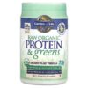 Garden of Life RAW Organic Protein & Greens Plant Formula Vanilla 19.40 oz (550 g) 658010118705