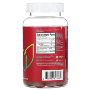 Hyland's Organic Apple Cider Vinegar Blast Gummies Natural Apple 60 Vegan Gummies 810087820039