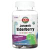 KAL Kids Jurassic Elderberry Berry 60 viên 021245412502