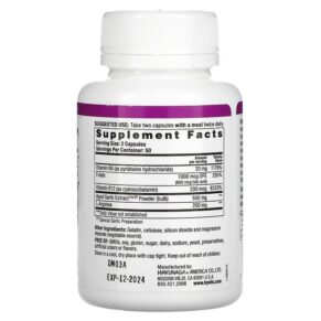 Kyolic Aged Garlic Extract Formula 108 100 Capsules 023542108416