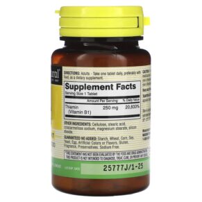 Mason Natural Vitamin B-1 250 mg 100 Tablets 311845056610