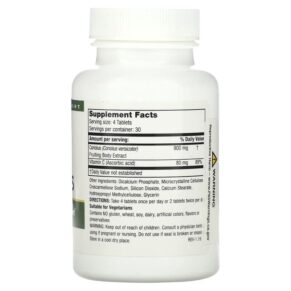 Mushroom Wisdom Super Coriolus 120 Vegetarian Tablets 791014109055