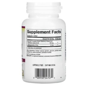 Natural Factors Black Elderberry 100 mg 120 Fast-Acting Softgels 068958047072