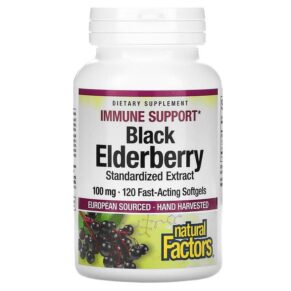 Natural Factors Black Elderberry 100 mg 120 Fast-Acting viên 068958047072