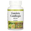 Natural Factors Garcinia Cambogia 90 viên 068958041162