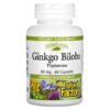 Natural Factors Ginkgo Biloba Phytosome 60 mg 60 viên 068958048055