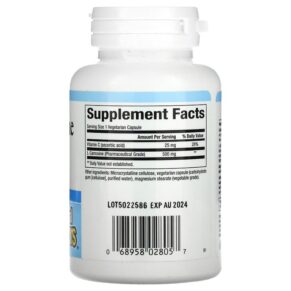 Natural Factors L-Carnosine 500 mg 60 Vegetarian Capsules 068958028057