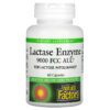 Natural Factors Lactase Enzyme 9.000 FCC ALU 60 viên 068958017402