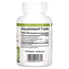 Natural Factors Milk Thistle 250 mg 90 Capsules 068958041810