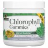 Nature's Answer Chlorophyll Natural Peppermint 25 mg 60 Pectin viên 083000269196