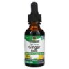 Nature's Answer Ginger Root Fluid Extract Alcohol-Free 1.000 mg 1 fl oz (30 ml) 4 Nature's Answer Ginger Root Fluid Extract Alcohol-Free 1.000 mg 1 fl oz (30 ml) 083000006166