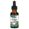 Nature's Answer Ginkgo Leaf Fluid Extract Alcohol-Free 2.000 mg 1 fl oz (30 ml) 4 Nature's Answer Ginkgo Leaf Fluid Extract Alcohol-Free 2.000 mg 1 fl oz (30 ml) 083000006203
