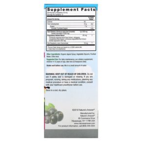 Nature's Answer Sambucus Kid's Formula 4.000 mg 4 fl oz (120 ml) 083000260445