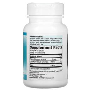Nature's Way Body Essential Silica Caps with Calcium 90 Vegan Capsules 020065600052