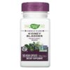 Nature's Way Kidney Bladder 465 mg 100 viên 033674001103
