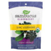 Nature's Way Sambucus Elderberry Zinc + Vitamin C Original Elderberry 24 viên 033674102206