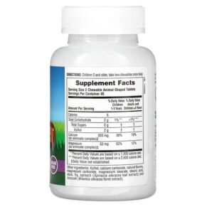 NaturesPlus Animal Parade Calcium Children’s Chewable Supplement Vanilla Sundae Sugar Free 90 Animal-Shaped Tablets 097467299214