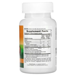 NaturesPlus Animal Parade Kid Zinc Lozenges Tangerine 90 Animal-Shaped Lozenges 097467299641