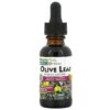 NaturesPlus Herbal Actives Olive Leaf Alcohol Free 1 fl oz (30 ml) 097467078499