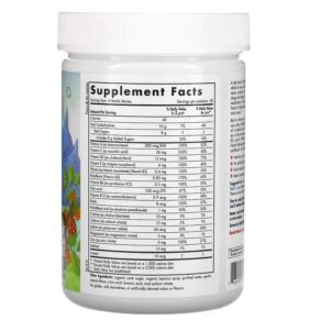 Nordic Naturals Nordic Berries Multivitamin Gummies Original Flavor 200 Gummy Berries 768990301247