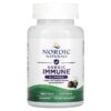 Nordic Naturals Nordic Immune Elderberry 40 viên 768990015144