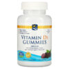 Nordic Naturals Vitamin D3 Wild Berry 1.000 IU 120 viên 768990311413