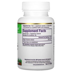 Paradise Herbs Ginger 60 Vegetarian Capsules 601944777241