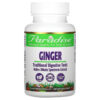 Paradise Herbs Ginger 60 viên 601944777241