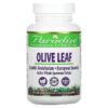 Paradise Herbs Olive Leaf 120 viên 601944777739