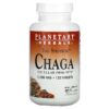 Planetary Herbals Full Spectrum Chaga 1.000 mg 120 viên 021078106678