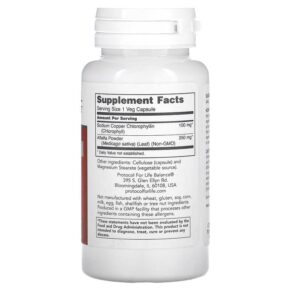 Protocol for Life Balance Chlorophyll 100 mg 90 Veg Capsules 707359126459