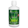 Real Aloe Inc. Aloe Vera Juice 32 fl oz (960 ml) 038435210329