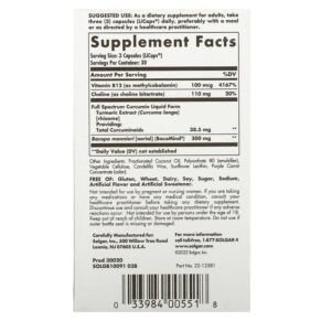 Solgar Full Spectrum Curcumin Brain Works 90 Licaps 033984005518
