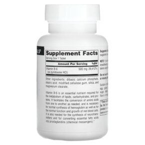 Source Naturals B-6 500 mg 100 Tablets 021078004165