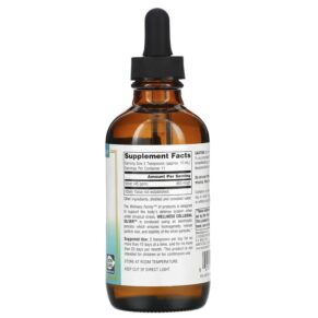 Source Naturals Wellness Colloidal Silver 45 PPM 4 fl oz (118.28 ml) 021078027355