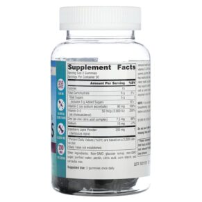 Source Naturals Wellness Gummies Elderberry 60 Gummies 021078028642