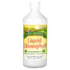 Sunny Green Liquid Chlorophyll Peppermint 100 mg 16.2 fl oz (480 ml) 5 Sunny Green Liquid Chlorophyll Peppermint 100 mg 16.2 fl oz (480 ml) 632651560000